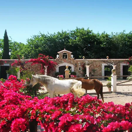 Nyaraló Santa Lucia