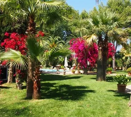 Santa Lucia * Binissalem